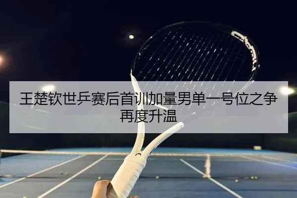 王楚钦世乒赛后首训加量男单一号位之争再度升温